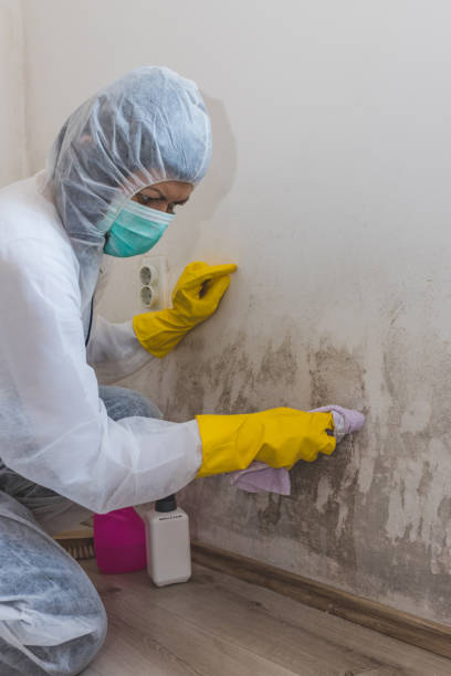 Best HVAC Mold Inspection and Cleaning  in Kennett, MO