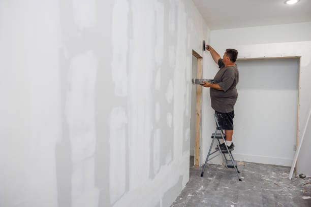 Best Emergency Mold Remediation  in Kennett, MO