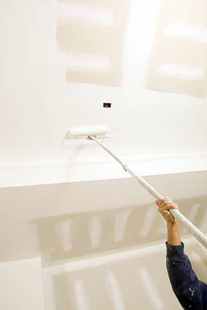 Mold Odor Removal Services in Kennett, MO