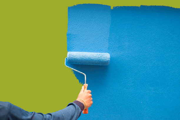 Best Mold Remediation for Rental Properties  in Kennett, MO